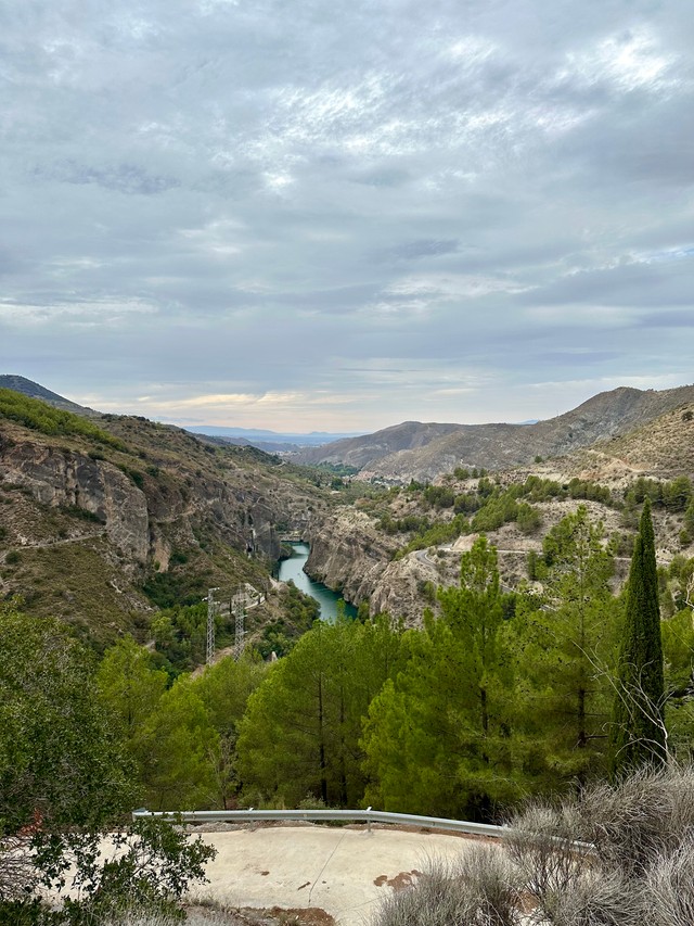 Краявіды