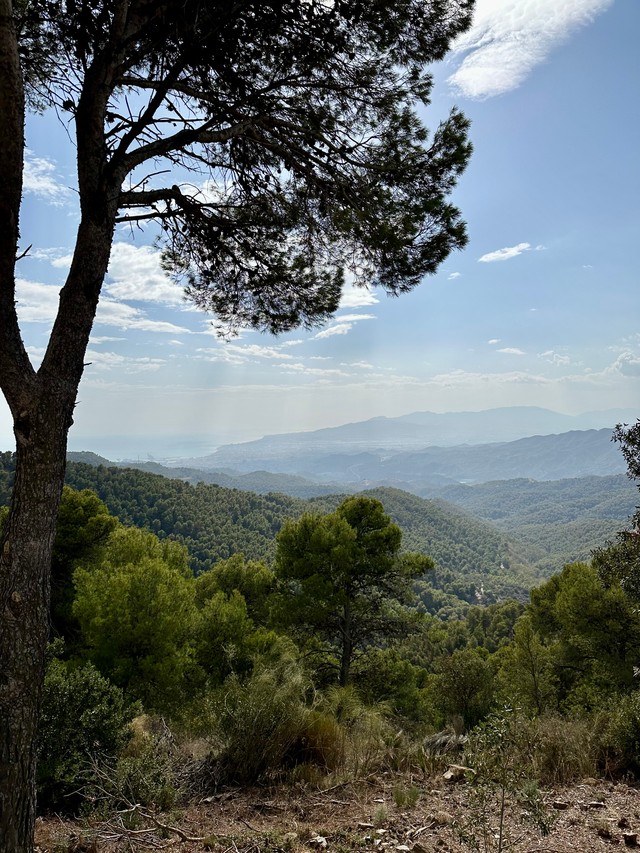 Mirador Del Cochino - пляцоўку з шыкоўнымі краявідамі на горныя храбты і Малагу