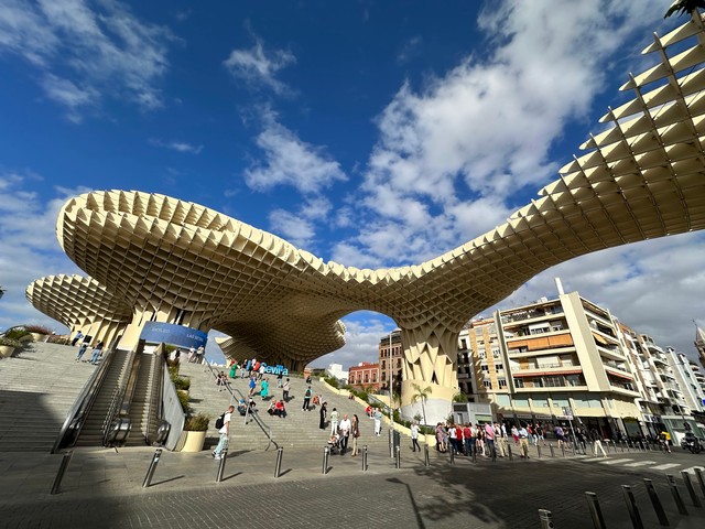 Setas de Sevilla